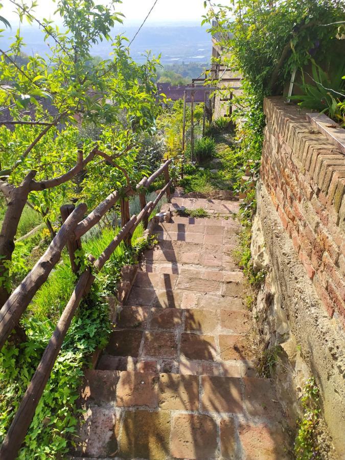 Casa Mantel Holiday Home Panoramic View In Langhe Новелло Экстерьер фото