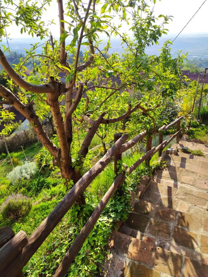Casa Mantel Holiday Home Panoramic View In Langhe Новелло Экстерьер фото
